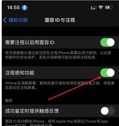 阜南苹果14维修网点分享iPhone14注视感知功能有什么用 